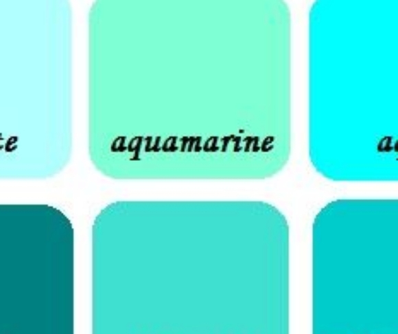 The Limited drawstring whimsical style soft shorts size large - Picture 6 of 6